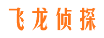 平凉侦探